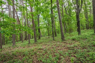 206R Mystic Trail Ln, Jasper, GA 30143