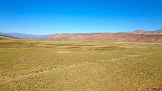 TBD Highway 90, Naturita, CO 81422