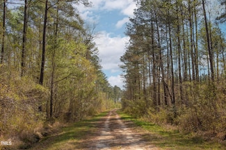 0 N Carolina 903 Unit 23512591, Greenville, NC 27834