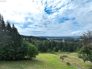 1 NW 389th St, Woodland, WA 98674