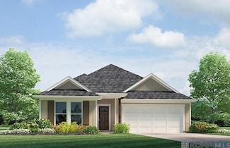 24813 Berry Ridge Ln, Springfield, LA 70462