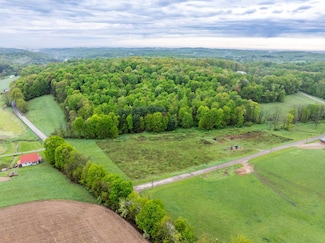 10914 Oldaker Rd, Eden Township, OH 43071