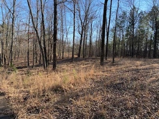 3595 Northshore Dr, Savannah, TN 38372