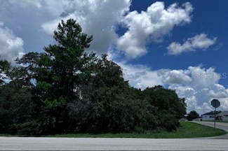 TBD SW 111th Place, Ocala, FL 34476