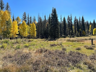 45 & 65 Apollo Trail, Duck Creek Village, UT 84762