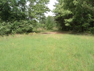 00 Ramer Selmer Rd, Ramer, TN 38367