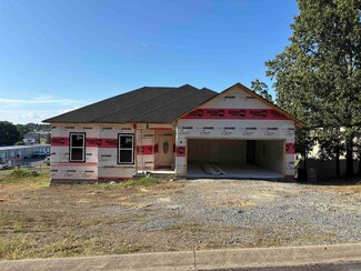 1950 Shadow Falls Dr, Conway, AR 72032