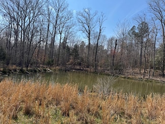 152 Acre Stone Gate Road (Unrestricted), Donalds, SC 29638