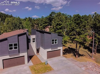 316 Spruce Meadow Grove, Woodland Park, CO 80863