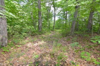 0 Bucks Hill Rd Unit 170399777, Waterbury, CT 06704