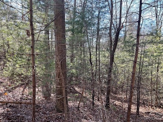 00 Willow Run Ln Unit 12, Zirconia, NC 28790
