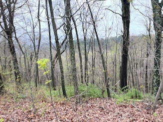 40 Cypress Point Ln, Eureka Springs, AR 72631