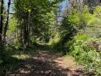 0 N Santiam Hwy Se 22 Unit TL 1600 220187059, Detroit, OR 97342