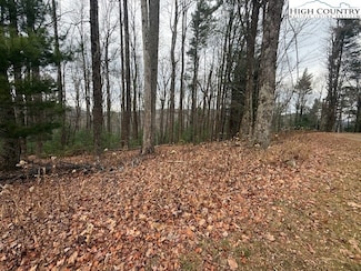 TBD Jobs Rd, Laurel Springs, NC 28644