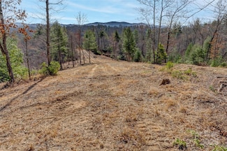 Lot 3 Walnut Hollow Rd, Brevard, NC 28712