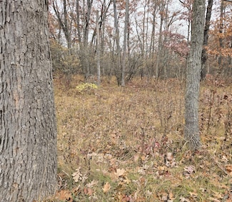 V/L Woodbridge Dr, Bitely, MI 49309