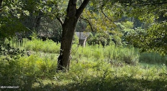 30 Hibiscus Ln, Natchez, MS 39120