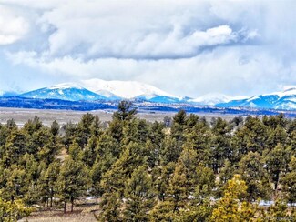 928 Grand Teton Dr, Hartsel, CO 80827