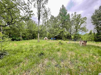 743 Belcher Rd, Tiline, KY 42083
