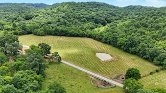 124 Blue Smith Rd, Cornersville, TN 37047