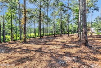 218 Alderman Landing Rd, Holly Ridge, NC 28445