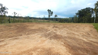 207 Hugh White State Park Rd, Grenada, MS 38901