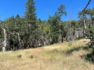 20925 Mid Mountain (17n17 Usfs) Rd, Upper Lake, CA 95469