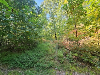 Lot 17 Fox Hollow Dr, Bastian, VA 24630