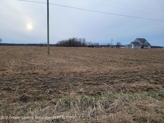 Vl Findlay Rd, Essex Township, MI 48879