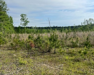 0 Century Loop, Chatham, LA 71226
