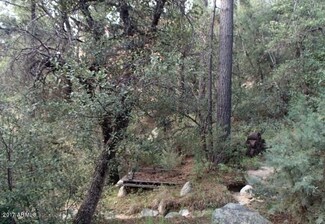 23539 Van Ln Unit 35, Crown King, AZ 86343