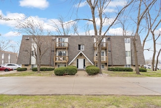 214 Madison St Unit 2C, Joliet, IL 60435