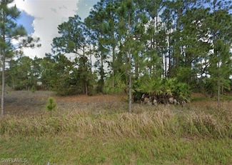 1137 Holmes Ave S, Lehigh Acres, FL 33974