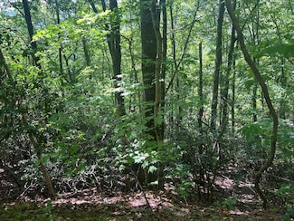 Lot 388 Uncle Joe's Bluff, Franklin, NC 28734