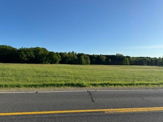 12828 Buchanan Rd, Stanwood, MI 49346