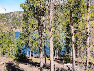 86 Timicua Ct, Red Feather Lakes, CO 80545