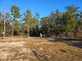 225 White Rose St, Defuniak Springs, FL 32433