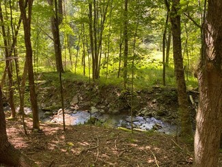 Lot 34.2 State Hwy 28, Middletown, NY 12455