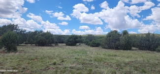 687-D Medicine Man Trail, Seligman, AZ 86337