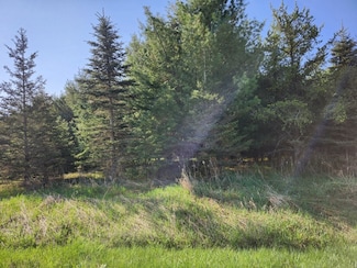 Lot 14 Lukes Heights Ln, Ogema, WI 54459