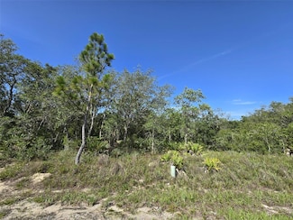 112 Tench Dr, Poinciana, FL 34759