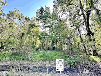 Lot #23-B Summerfield Rd S, Prairieville, LA 70769