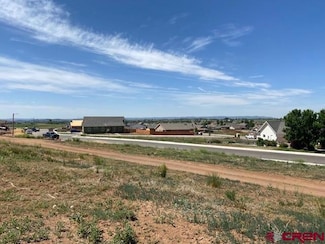 270 Sunflower Ln, Bayfield, CO 81122