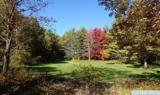 1505 County Route 13, East Chatham, NY 12060
