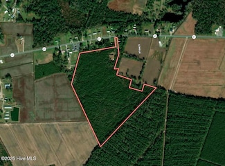 01 Woodrow Battle Ln, Trenton, NC 28585