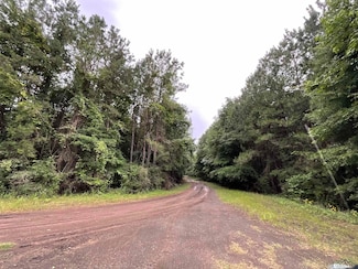 TBD Us Hwy 79, Carthage, TX 75633