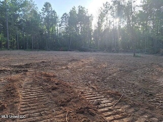 1078 Dry Creek Rd, Mendenhall, MS 39114