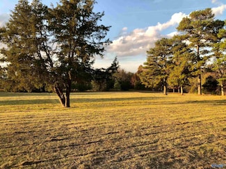 8948 Highway 36 E, Laceys Spring, AL 35754