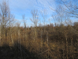 0-Lot 11 Grant St, Merrillville, IN 46410
