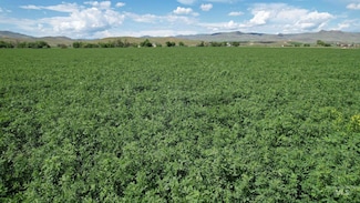 Parcel 2 Olds Ferry Rd, Weiser, ID 83672